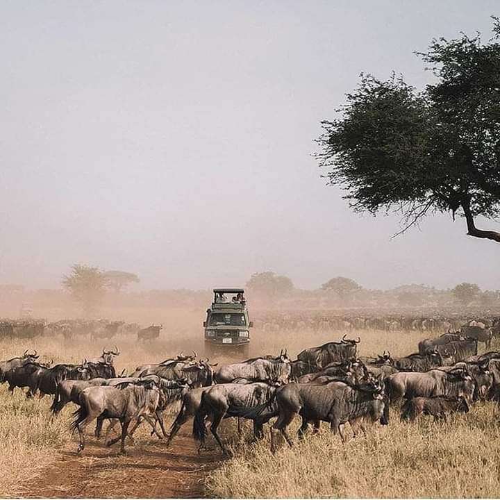 Serengeti National Park